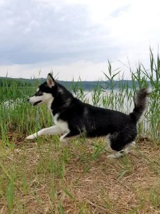 Bilder im Sommer