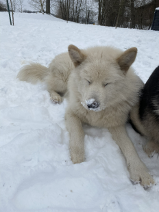 Bilder im Winter