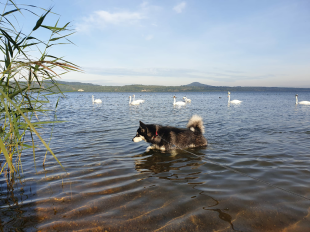 Bilder im/am Wasser