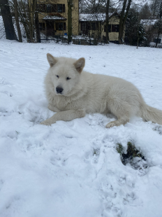 Bilder im Winter