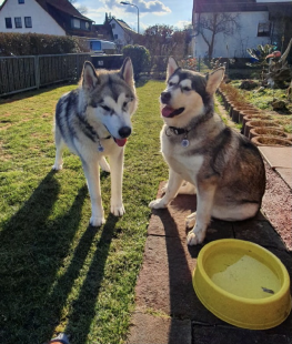 Bilder im Garten