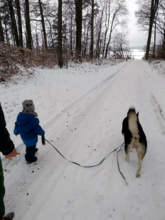 Bilder Hund u. Personen