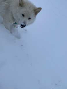 Bilder im Winter