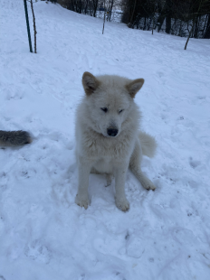 Bilder im Winter
