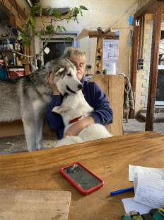 Bilder in der Wohnung