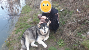 Bilder Hund u. Personen