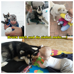Bilder Hund u. Kind