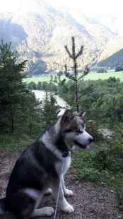 Bilder im Herbst