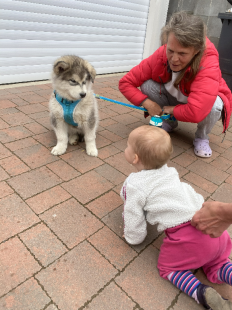 Bilder Hund u. Personen