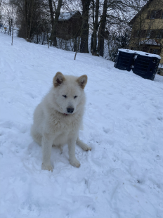 Bilder im Winter