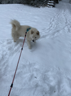 Bilder im Winter