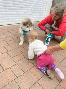 Bilder Hund u. Personen
