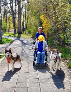 Bilder Hund u. Personen
