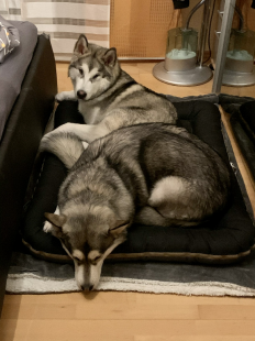 Bilder in der Wohnung