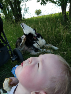 Bilder Hund u. Kind