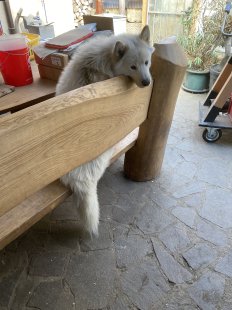 Casper