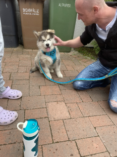 Bilder Hund u. Personen