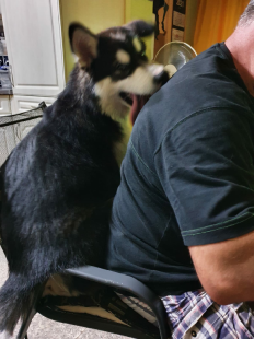 Bilder Hund u. Personen