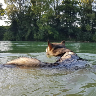 Bilder im/am Wasser