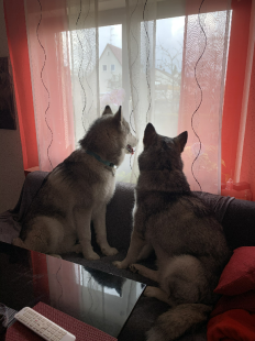 Bilder in der Wohnung