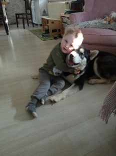 Bilder Hund u. Kind