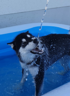 Bilder im/am Wasser
