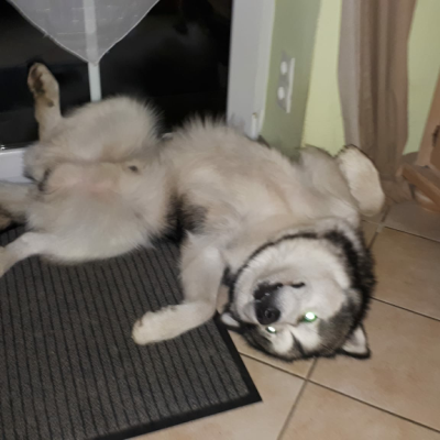 Yoga hält uns fit!