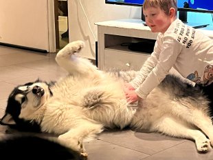 Bilder Hund u. Kind