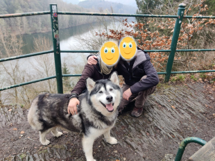 Bilder Hund u. Personen