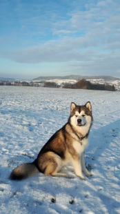 Bilder im Winter