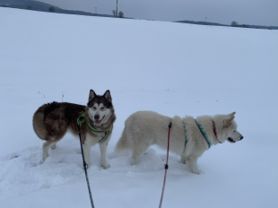 Bilder im Winter