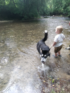 Bilder Hund u. Kind