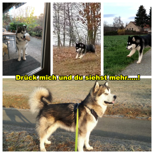 Bilder im Herbst