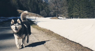 Bilder - Allgemein und Spass