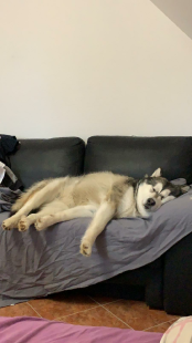 Bilder in der Wohnung