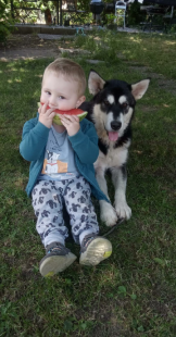 Bilder Hund u. Kind