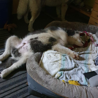Yoga hält uns fit!