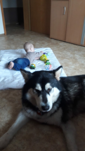 Bilder Hund u. Personen