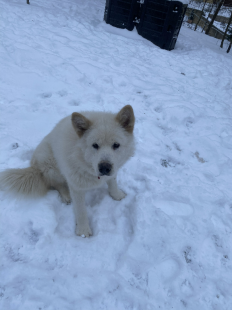 Bilder im Winter