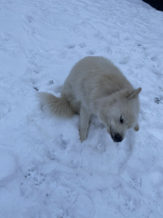Bilder im Winter