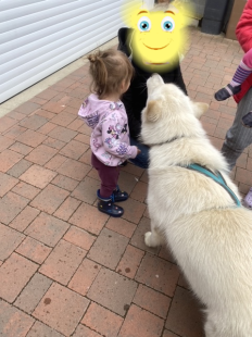 Bilder Hund u. Personen