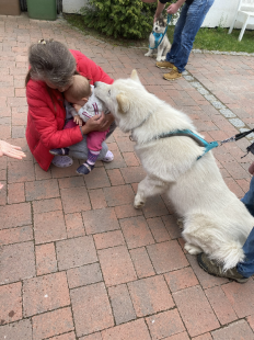 Bilder Hund u. Personen