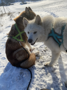 Bilder im Winter