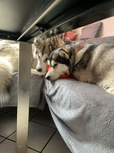 Bilder in der Wohnung
