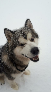 Bilder im Winter
