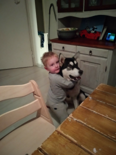 Bilder Hund u. Kind