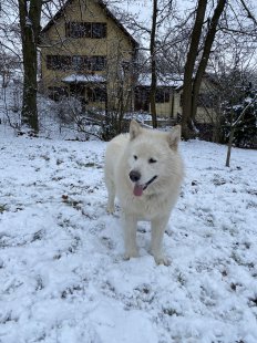Casper