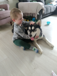 Bilder Hund u. Kind