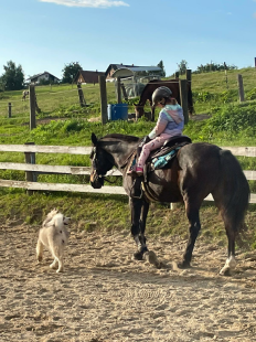 Bilder Hund u. Personen
