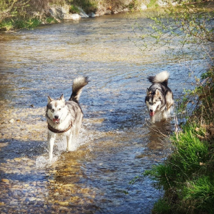 Bilder im/am Wasser